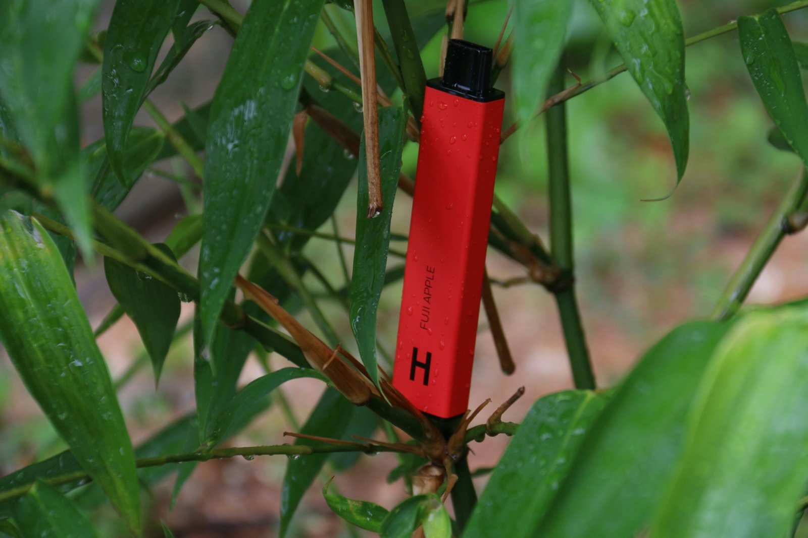 a red lighter sitting on top of a green plant