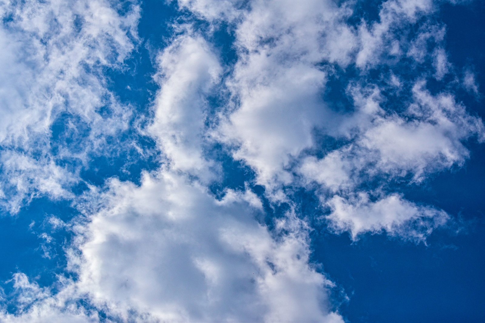 white clouds and blue sky during daytime